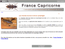 Tablet Screenshot of capricorne-info.com